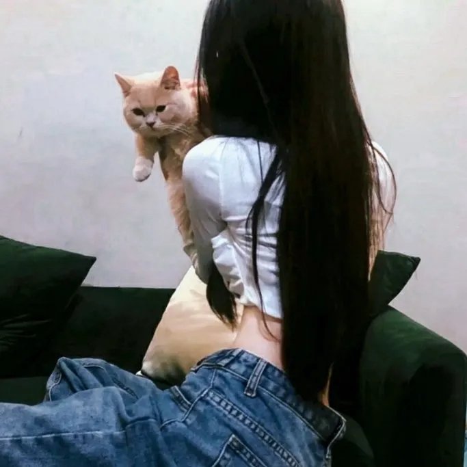 散修之王